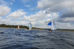 Nebelbeil_Nebelwelle-2022-118