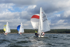 Nebelbeil_Nebelwelle-2022-122