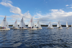 Nebelbeil_Nebelwelle-2022-133