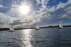 Nebelbeil_Nebelwelle-2022-134