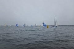 Nebelbeil_Nebelwelle-2023-107