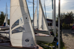 PXL_20241012_075201268