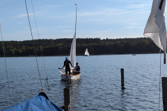 PXL_20241012_080348423