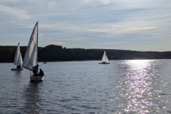 PXL_20241012_080702592