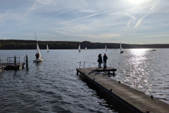 PXL_20241012_082117237