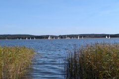 PXL_20241012_100616151