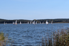PXL_20241012_100625812
