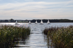 PXL_20241012_101411534