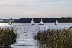 PXL_20241012_101419728
